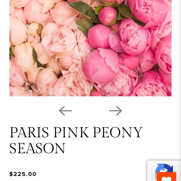 Rebecca Plotnick 1000 piece puzzle 🌸 - Picture 4 of 4